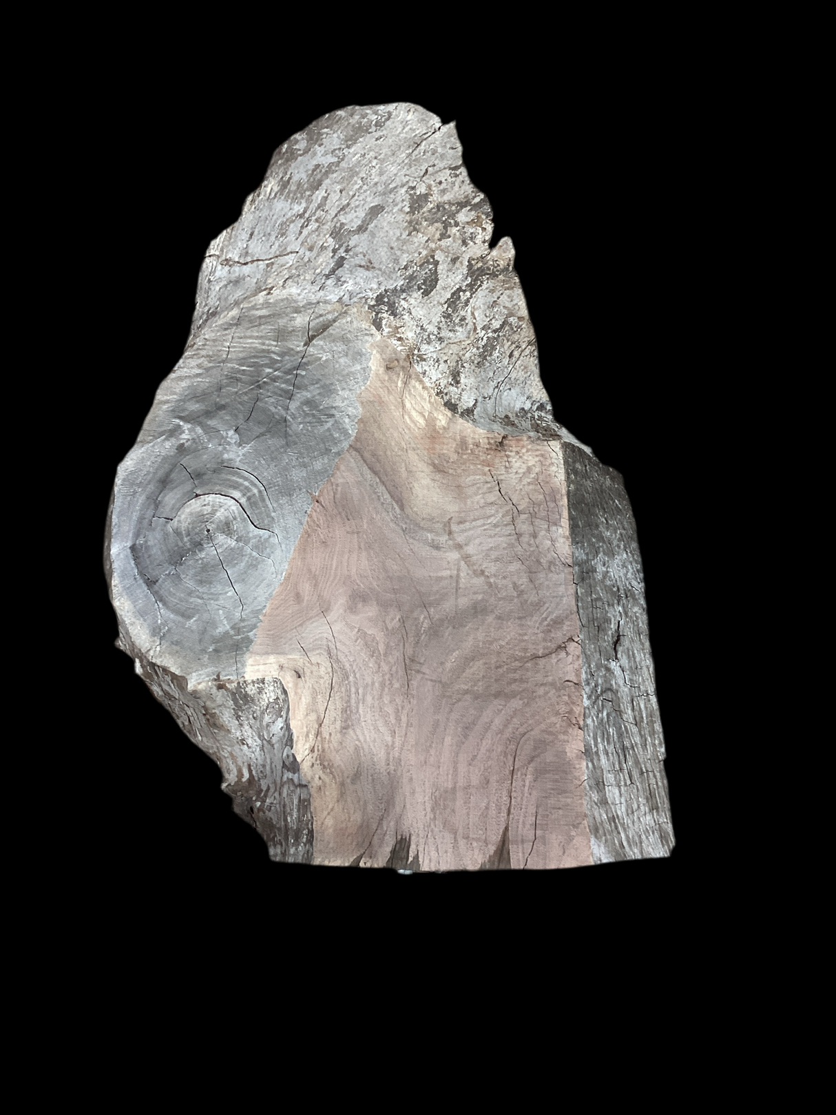Irregular shaped walnut slab with a black background.