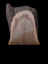 A walnut slab with tiger striped markings on a black background.