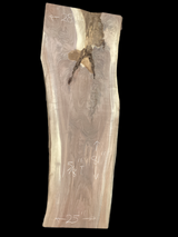 A long walnut slab, wider on one end than the other, and on a black background. 