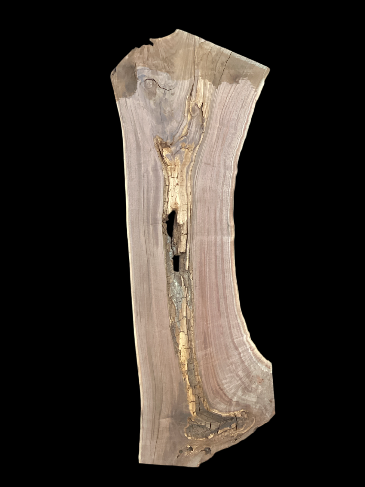A short walnut slab with a black background.