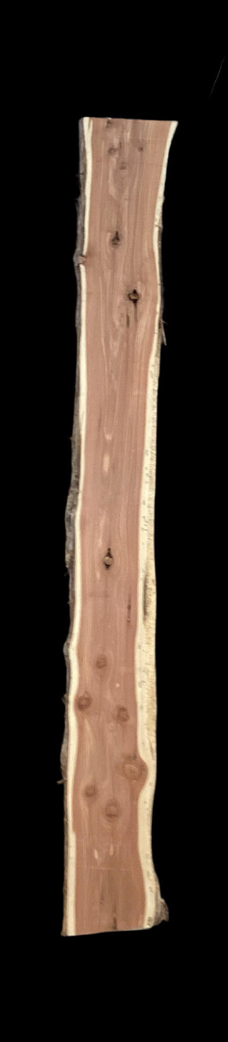A single slab of Eastern Red Cedar wood with a straight, minimal taper design, featuring a light beige color and several knots.