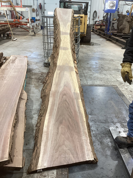 Large walnut wood slab with propped up against a metal cage, showing its length.