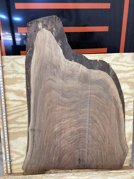 A close-up image of a walnut wood slab with a distinctive tiger striped grain pattern on a black background.