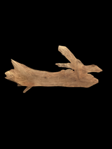 A walnut wood piece with a natural brown color and distinct grain, shaped like a branch with multiple forks.