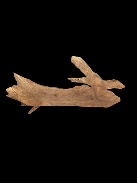 A walnut wood piece with a natural brown color and distinct grain, shaped like a branch with multiple forks.