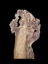 A slab of elm wood with a tree-like appearance, featuring grain and burls on the outer edges, positioned against a black background.