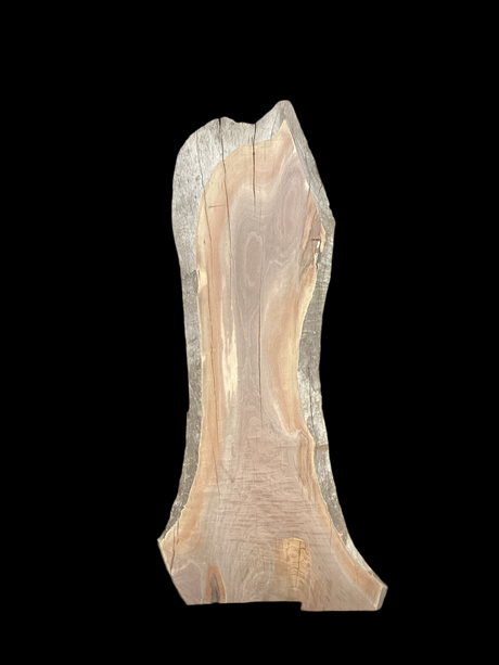 A short irregular shaped walnut slab with a black background. 