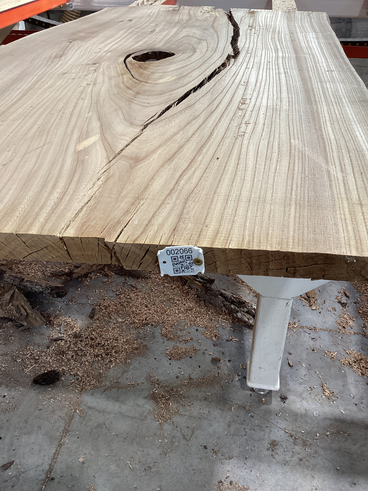 A section of an American Elm wood edge with a QR code attached.