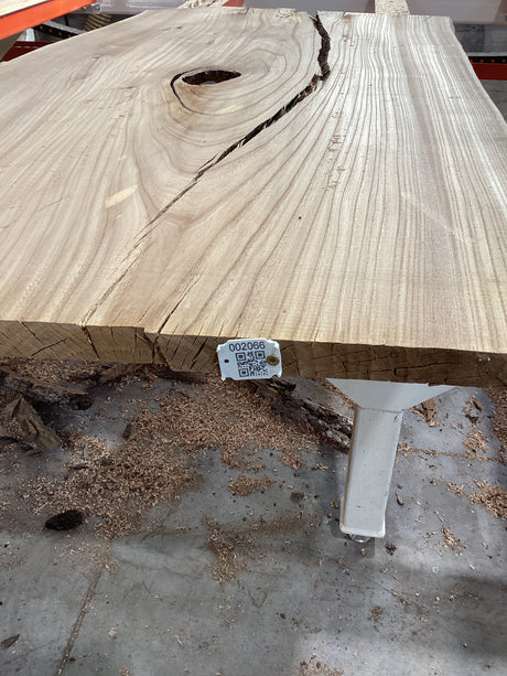 A section of an American Elm wood edge with a QR code attached.