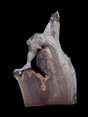 An odd shaped walnut wood slab placed black background.