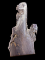 A walnut wood slab placed on a black background.