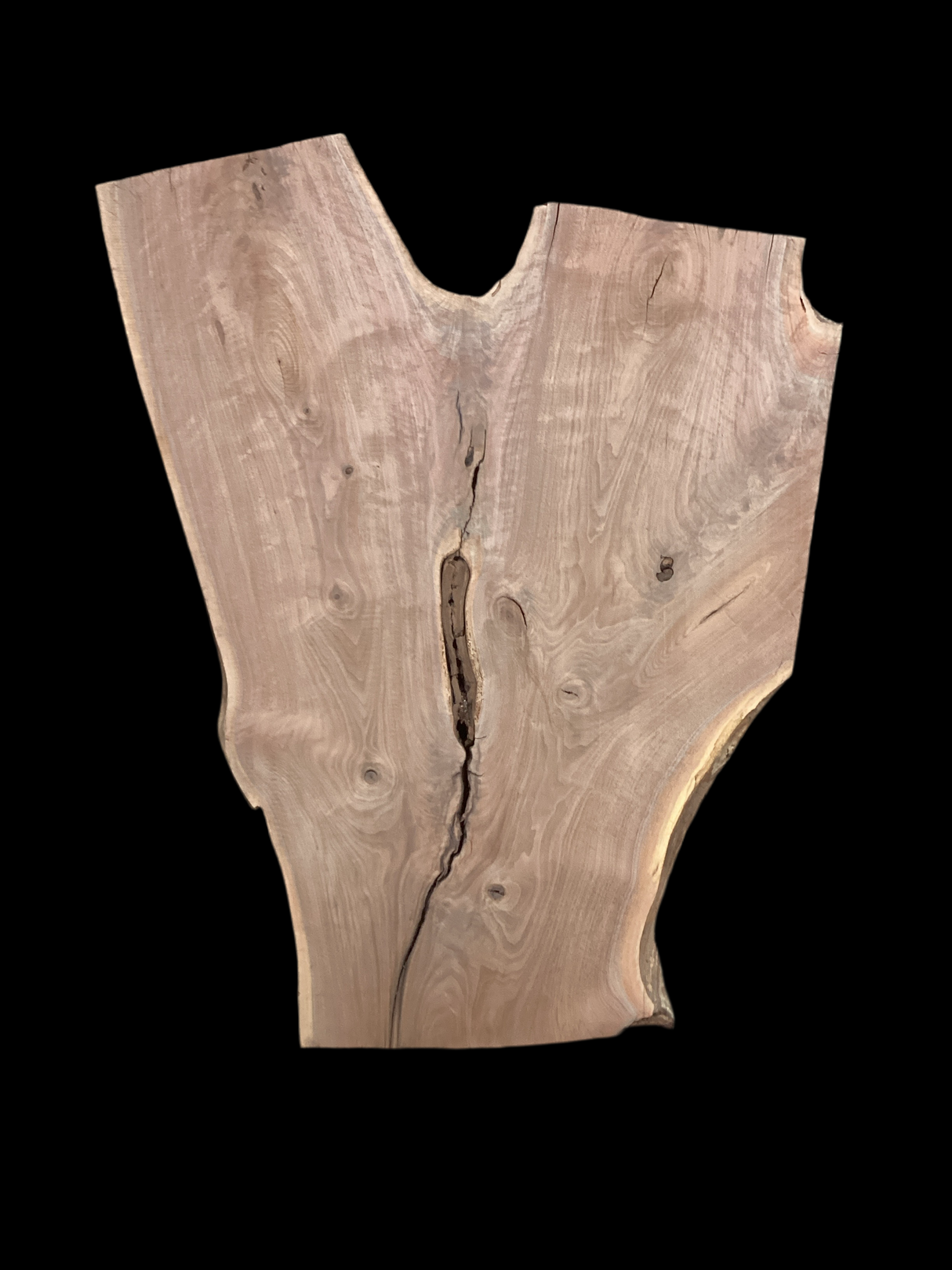 An irregularly shaped walnut slab with a distinctive striped figure pattern on a black background.