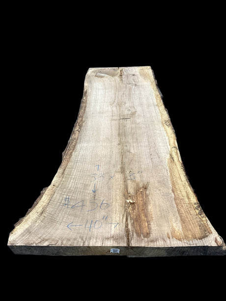 A single, unprocessed red oak slab with visible pith, in an air drying stage.