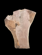 Walnut Slab 2196