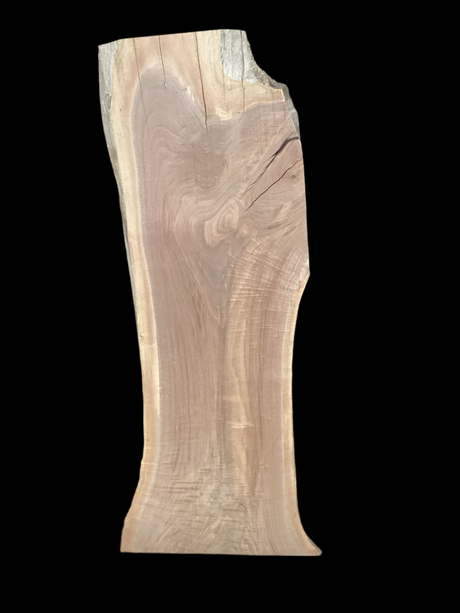 A short walnut slab with a black background. 
