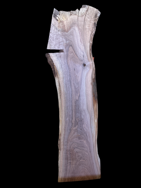 A walnut wood slab with a natural brown finish on a back background.