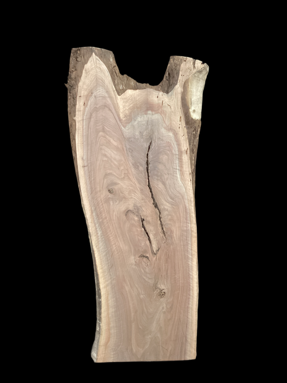A short irregular shaped walnut slab with a black background. 