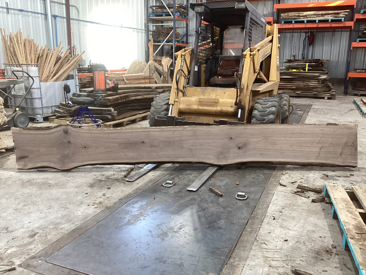 Large walnut wood slab propped on a forklift showing its length.