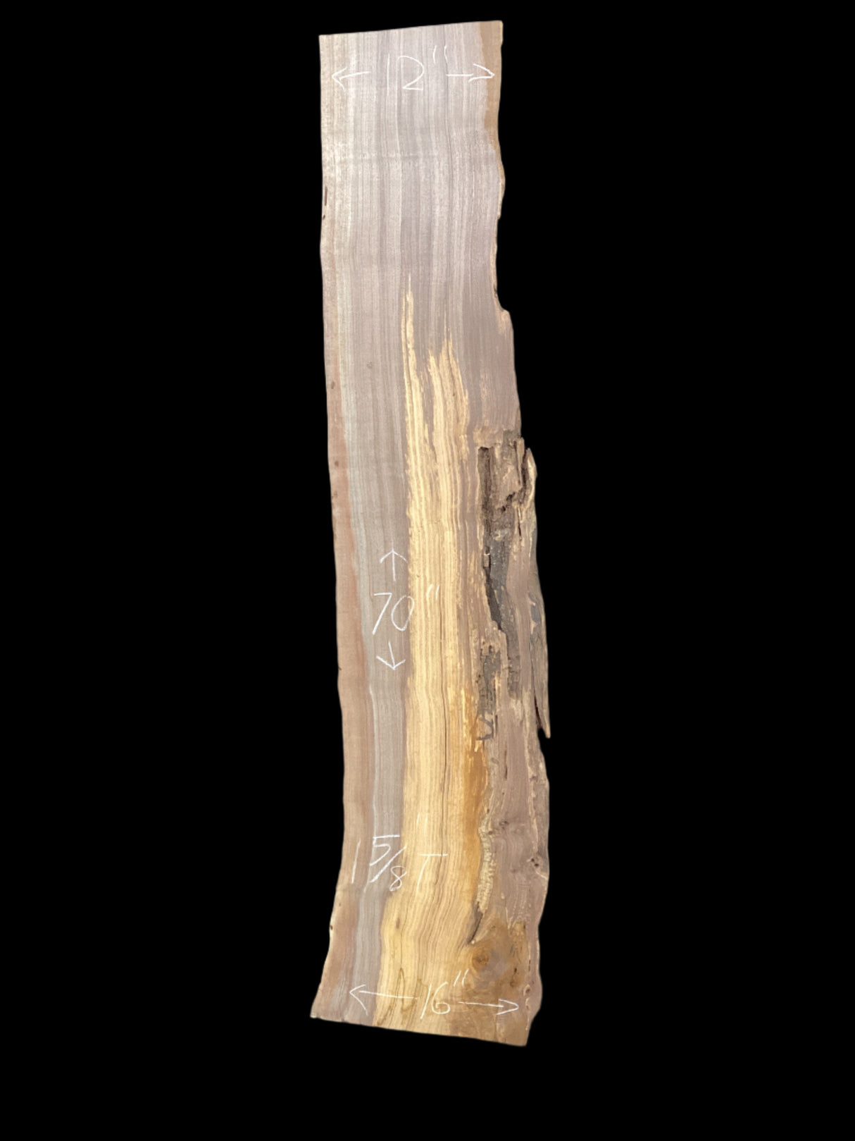 Walnut wood slab with layered structure on a black background