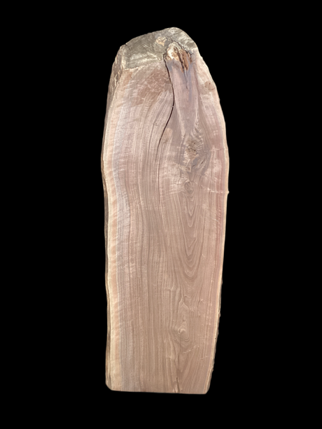 A short walnut slab with a black background.