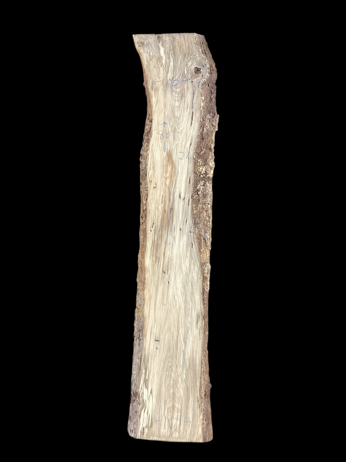 A beige-colored Hackberry wood slab with a natural grain pattern and some knots, isolated on a black background.