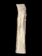 A beige-colored Hackberry wood slab with a natural grain pattern and some knots, isolated on a black background.