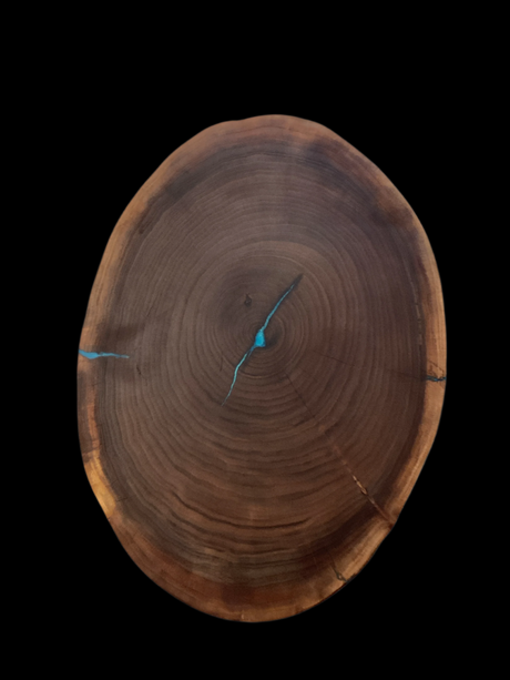 Wooden log with visible growth rings on a black background