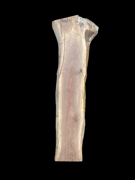 A large walnut slab with a black background.