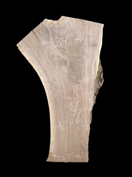 A short irregular shaped walnut slab with a black background. 