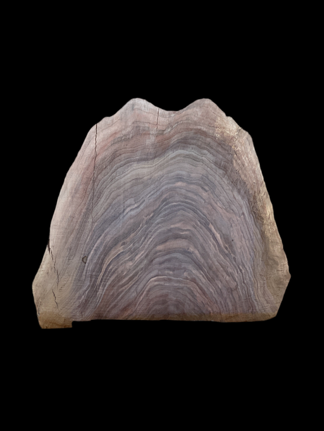 A walnut slab with tiger striped markings on a black background.