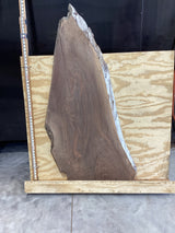 A large walnut wood slab placed on a wooden plywood board, with a visible natural grain and a finished edge.