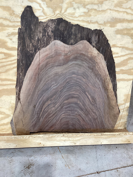 A walnut slab with tiger striped markings on a plywood background.