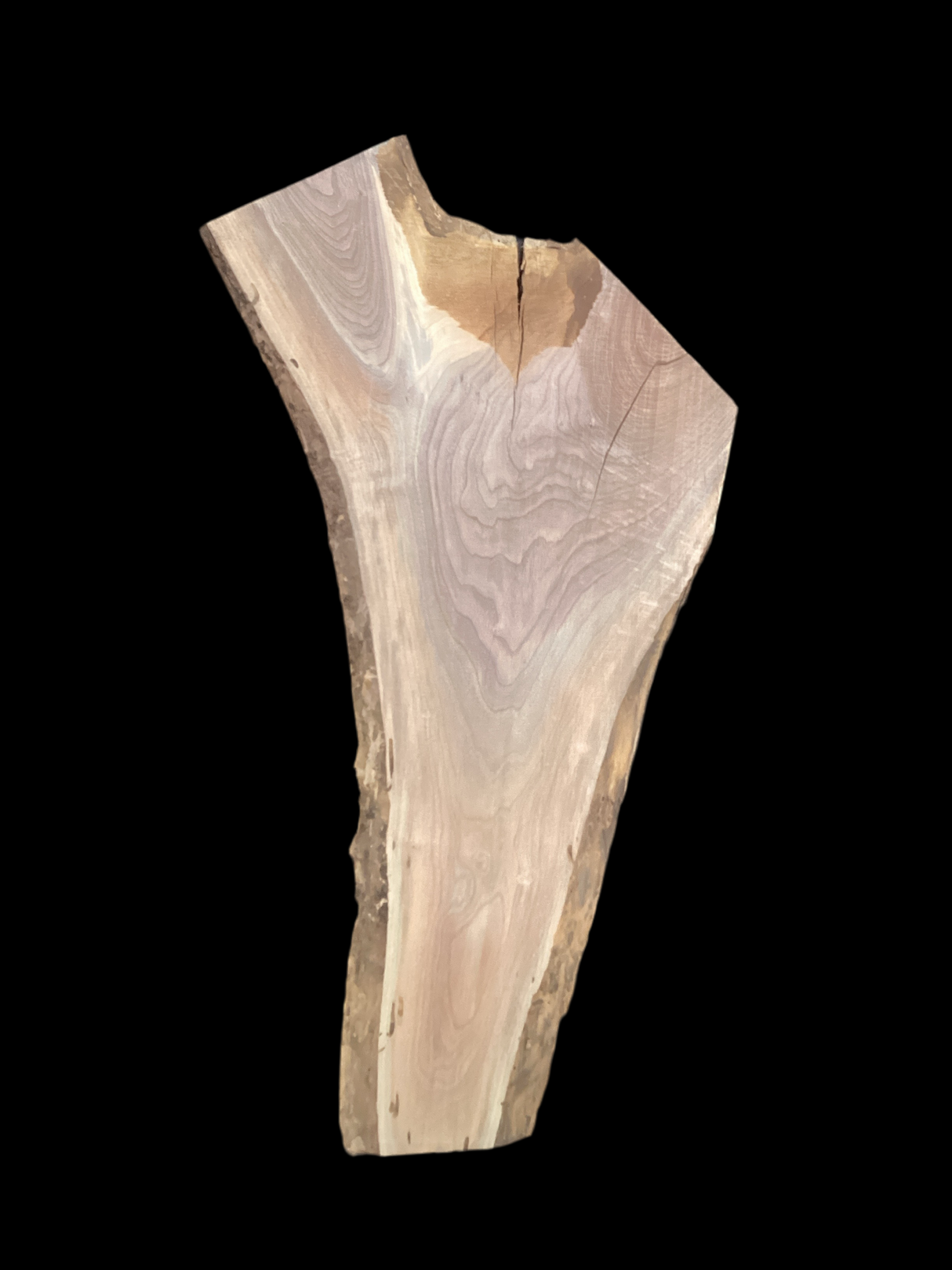 A short, irregular shaped walnut slab with a black background.