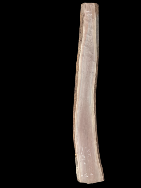 Walnut wood slab on a black background.