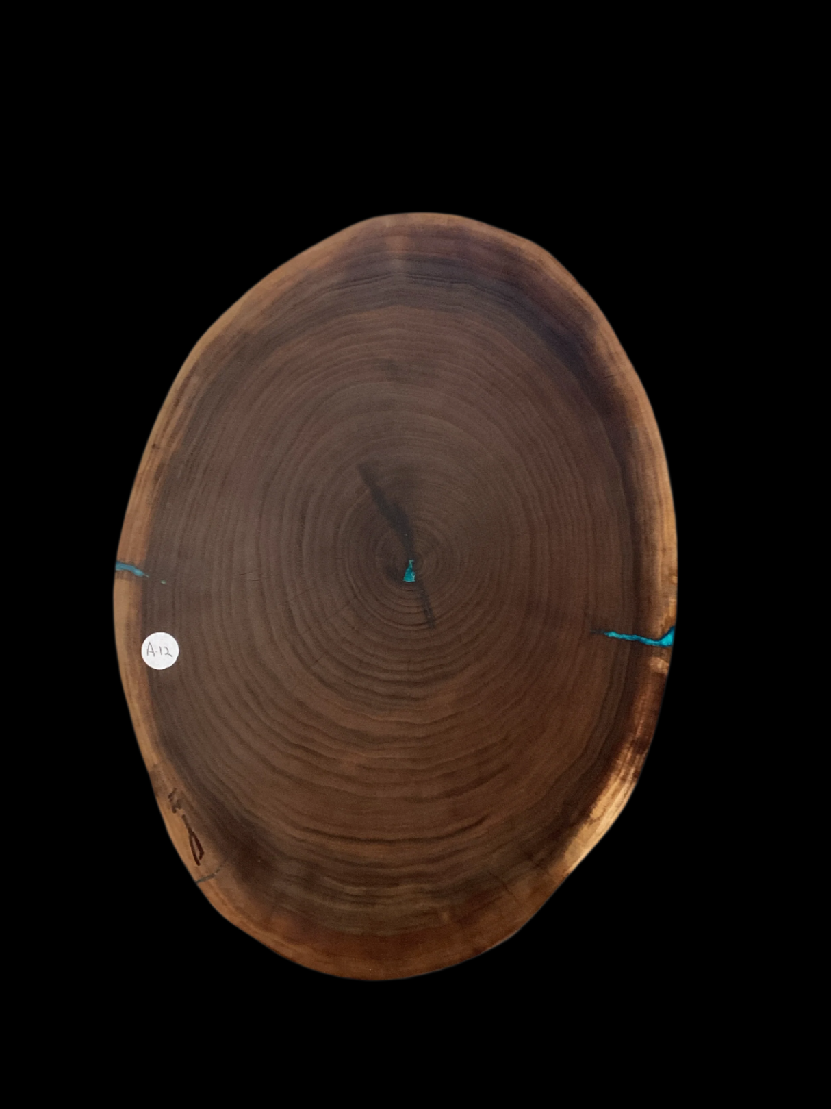 Wooden log with visible growth rings on a black background