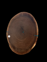 Wooden log with visible growth rings on a black background