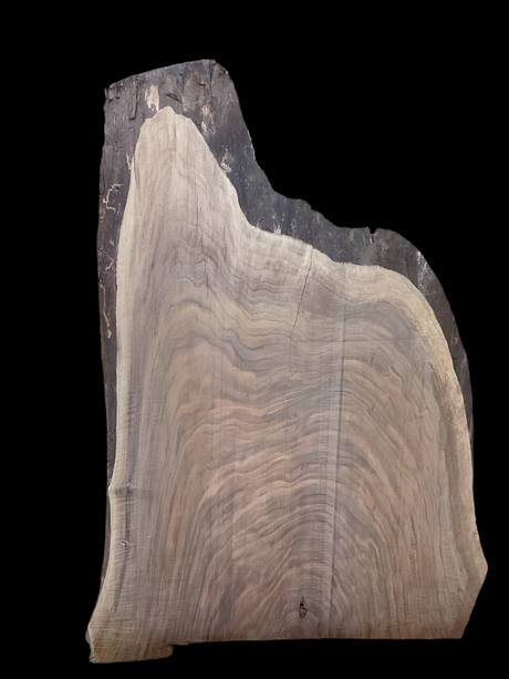 A close-up image of a walnut wood slab with a distinctive tiger striped grain pattern on a black background.