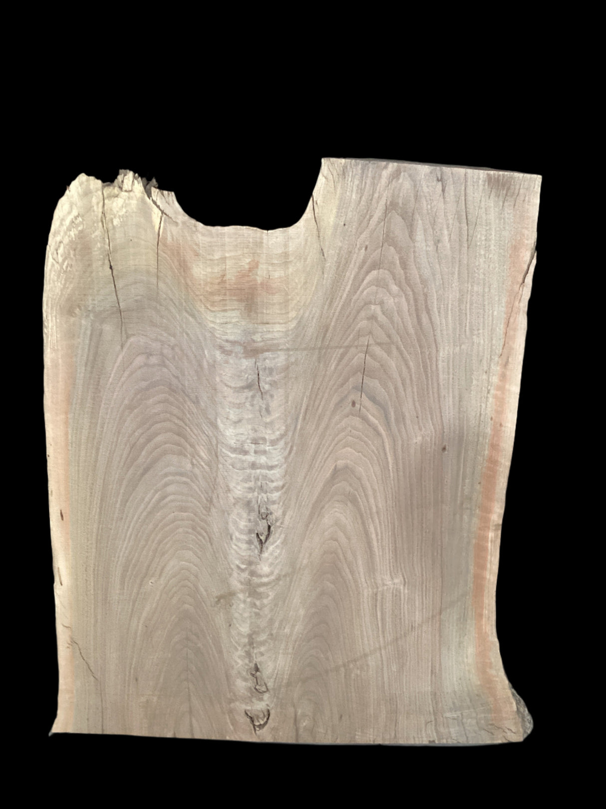 Walnut wood slab with on a black background.