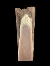 A short irregular shaped walnut slab with a black background. 