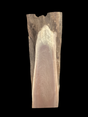 A short irregular shaped walnut slab with a black background. 