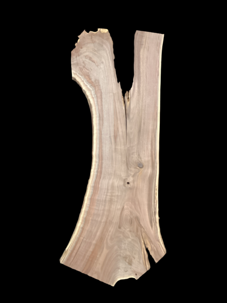 A short, irregular shaped walnut slab with a black background. 