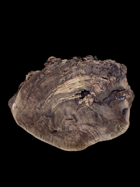 A round walnut wood plaque with natural edges and a visible side pattern of wood insect borers and natural decay.