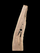 A long irregular shaped walnut slab with a black background. 