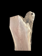 A short walnut slab with a black background.