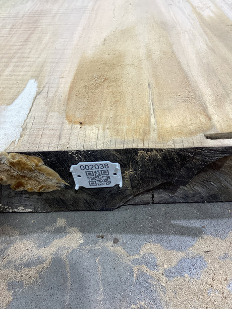 QR label attached to the edge of a Silver Maple slab.