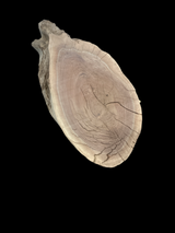 Irregular shaped walnut slab with a black background.