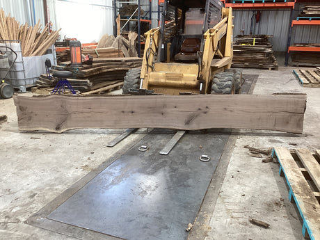 Large walnut wood slab propped on a forklift showing its length.