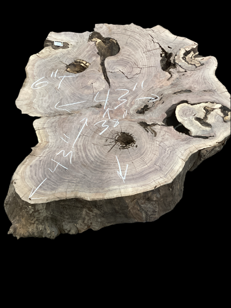 Irregular shaped walnut slab with many holes nestled into it.