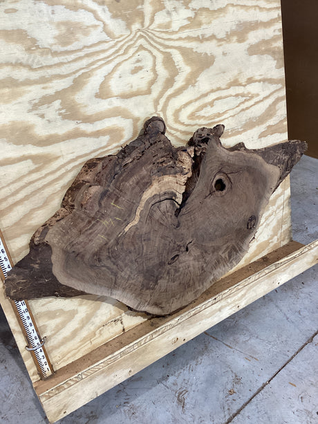  A walnut slab on a plywood background.