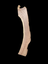 Large, curved walnut wood slab with a black background.